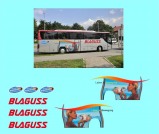 Bus Setra Monti Blaguss 1:48